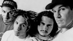 Клипы Rage Against The Machine