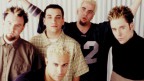 Клипы Bloodhound Gang