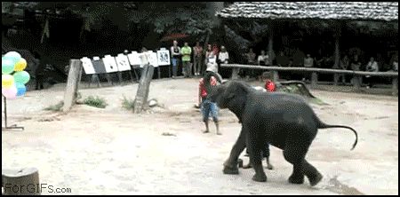 Дарст от слоника
