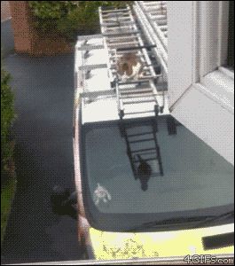 Прыжок с машины на крышу дома