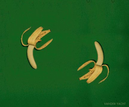 Круговорот бананов