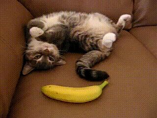 Неожиданный банан