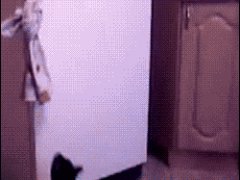 Кошка открывает холодильник