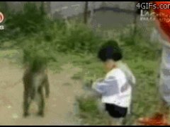 Обиженная обезьяна