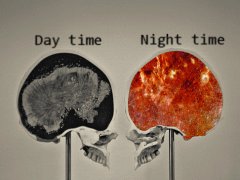 Мозги днем и ночью