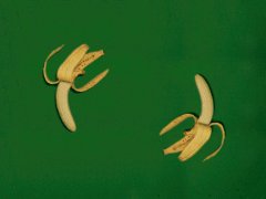 Круговорот бананов