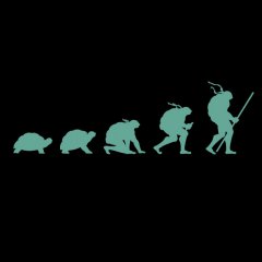 Эволюция черепах