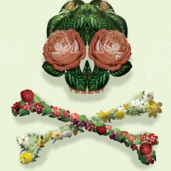 Цветы смерти