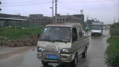 5000 уток пасутся на дорогах Китая