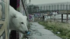 Бездомный полярный медведь в Лондоне