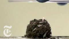Удивительная физика муравьёв