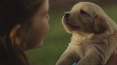 Шеви - реклама с собакой