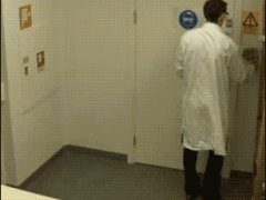 Самые смешные гиф в мире, ворона