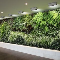 как сделать зеленую стену из растений