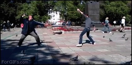 Магический бой голубями