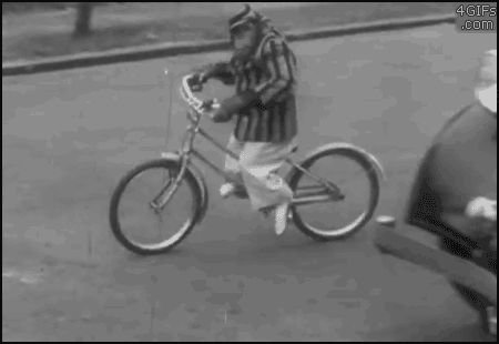 Обезьяна на велосипеде