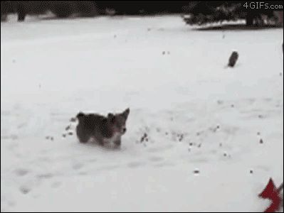 Игра со снегом