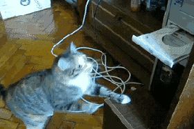 Кошка против дисковода
