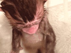 Обезьянка принимает ванну