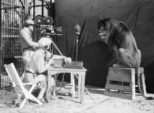 Съёмки льва для Metro-Goldwyn-Mayer, 1929 год