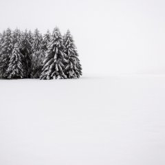 Зимний минимализм