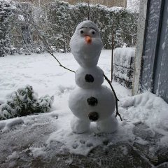Датский снеговик, похожий на Олафа