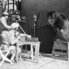 Съёмки льва для Metro-Goldwyn-Mayer, 1929 год