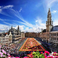 Ковер из цветов в Брюсселе