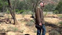 Как поймать кенгуру