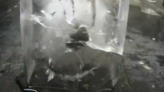 Раскалённый никелевый шар во льду