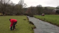 Собака перепрыгивает через реку
