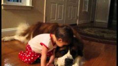 Малыш обнимает большую собаку