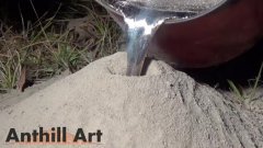 Структура муравейника узнаётся с помощью залитого в него металла