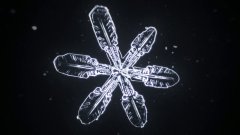 Формирование снежинки под микроскопом
