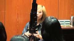 Мелодия из Марио на китайском музыкальном иструменте