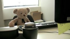 Страдающий медвежонок идёт на работу