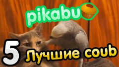 Лучшие coub по версии Pikabu (Часть 5)