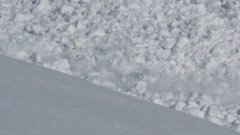 Беги как заяц - видео со сноубордистом во время обвала снега