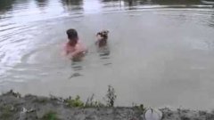 Собака спасает утопающего