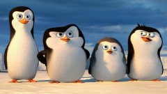 Начало истории пингвинов Мадагаскара